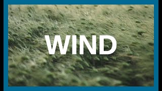 WIND – Embracing Flow and Change – Motivation screenshot 5