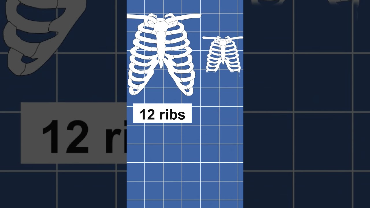 Scientists Ko Mila Alien ka Skull: Nepal Crash... 