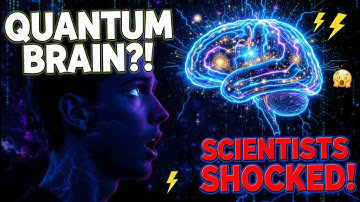 Your Brain is Actually a Quantum Computer – Scientists Shocked!