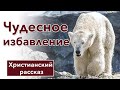 Христианский рассказ          ЧУДЕСНОЕ  ИЗБАВЛЕНИЕ