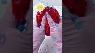Ultimate Squishy Toy Collection #asmr #squishyasmr #squishytoys #relax #satisfying #sleepasmr#funny