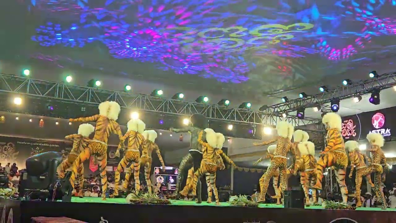 Pili Parba season 4 2025| winning performance by MFC muluhitlu friends club Mangalore | tiger dance💥