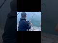 大物竿でやり取り!#fishing#shorts #釣り