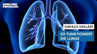 Einfach erklärt: So funktioniert die Lunge