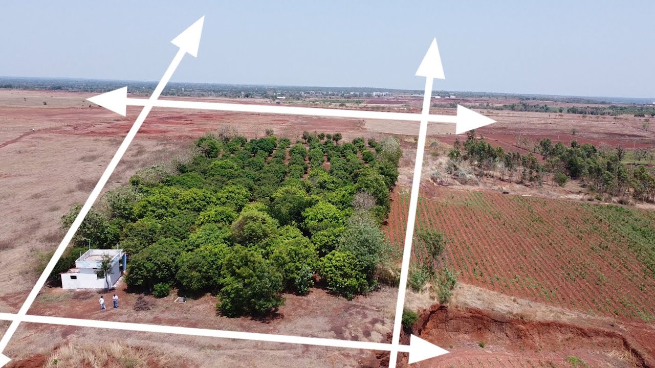 zaheerabadrealestate9699 land for sale in Zaheerabad at town 6 acer mango gardan ☎️8106959181