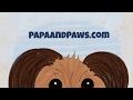 Papa & Paws Book 1 Title Reveal