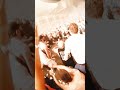 Coachella Live Stream Today on Youtube