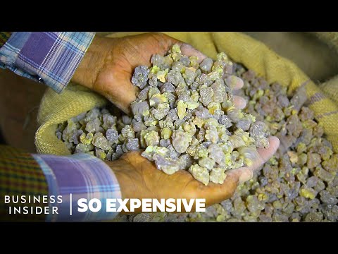 Why Frankincense And Myrrh Are So Expensive | So