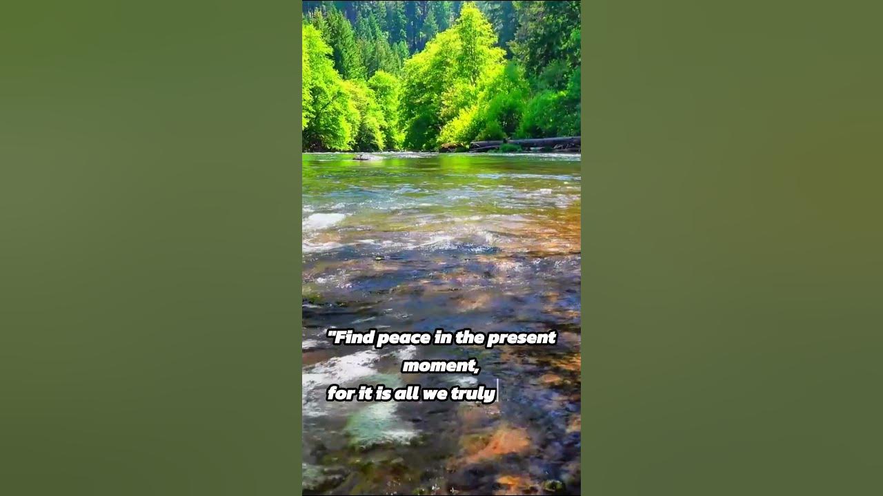 [Relaxation Music] - Motivational Quotes Part 4 #relaxing #motivation # ...