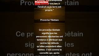Proverbe Tibétain - En général, un méchant attribue aux autres les défauts qu'il a lui-même #shorts