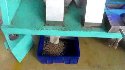 macadamia nuts sorting, aj@colorsort.cn, sortex007@yahoo.com