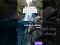 قال رسول اللهﷺ ياملك الموت كيف تقبض الأرواح وانت في مكانك هذا قال رسول اللهﷺ ياملك الموت كيف تقبض الأرواح وانت في مكانك هذا