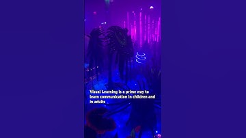 Have you tried visual learning?This video explains why an individual must try Visuals while learning