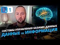 СУБД: Что это и Почему это Мозг Любого Бизнеса? (Определение, Функции и Применение)