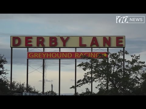 Video: Florida Greyhound Racing-in Qadağan Edilməsinə Səs Verir