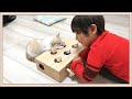 【感動】生まれた時から猫と育った子供に残酷な事実が告げられました