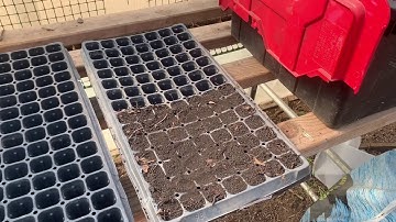 Forest Floor Soil Sample Testing Part 2