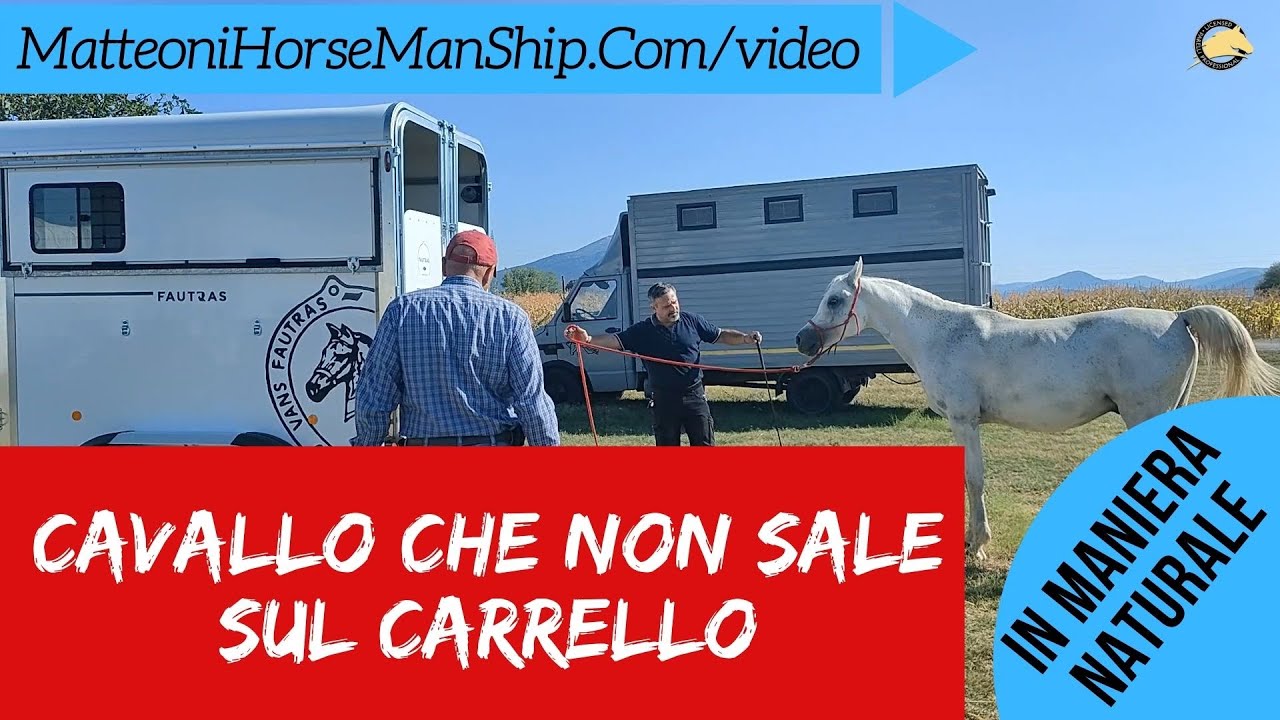 Cavallo che non sale sul carrello
