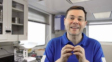 Lecture 2 Chronostratigraphy [Part B]