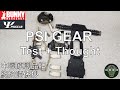 PSI GEAR MPCS Vest + Chestrig 用後感