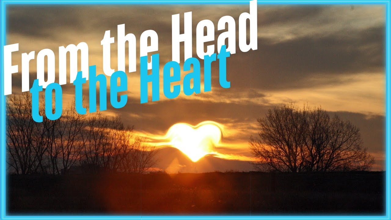 From Head to Heart - Ari Abramowitz: The Land of Israel Fellowship