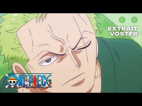 Retrouvailles entre Zoro & Kaku | One Piece (VOSTFR)