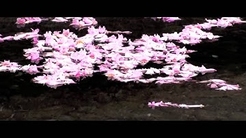 ʀᴇᴀʟɪᴛʏ ¹¹⁰¹