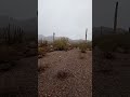 Early morning clouds and fog in Arizona&#39;s Sonoran desert. Dec 23/2023