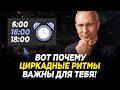 Циркадные Ритмы — Оружие Успешных Людей, о котором Вы не Знаете!