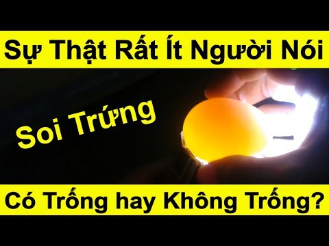 Video #3 Cách Soi Trứng Gà Có Trống Hay Không Bằng Đèn Pin... - youtube