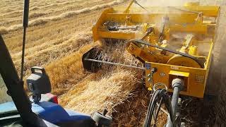 Hasat Sonrası Buğday Saplarından Hayvan Yeni Için Balya Yapımı..