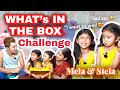 What’s In The Box Challenge with @Like Mela and Stela | Melason Family Vlog