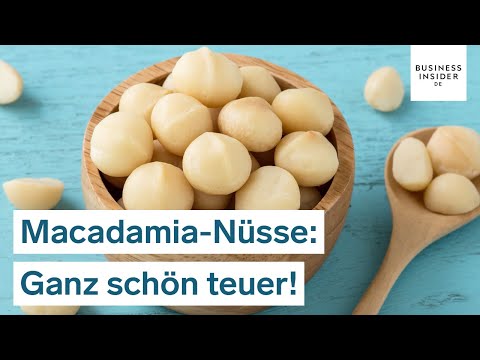 Video: Kann ich einen Macadamianussbaum anbauen?