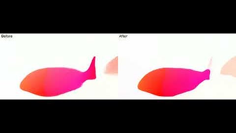 Optical flow - Unsupervised Fish Trajectory Tracking and Segmentation