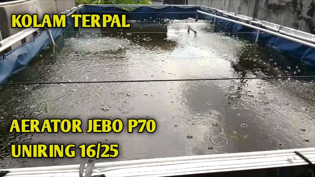 Upgrade kolam terpal || pemasangan aerator jebo p70