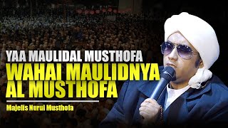 Ya Maulidal Musthofa - Majelis Nurul Musthofa ( Lirik )