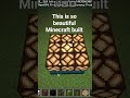 This is so beautiful built in Minecraft