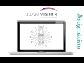 What is 2020 vision software