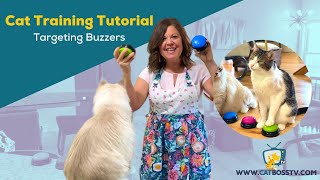 Teach your cat to target a buzzer or bell (plus how to perch and target a buzzer) cat trick tutorial