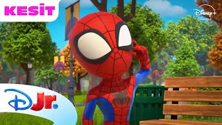 Spidey Sorunları Çözüyor Marvel Spidey Ve İnanılmaz Arkadaşları