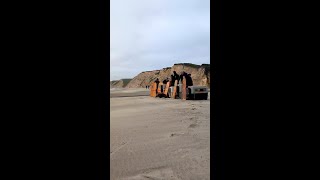 Watch a Sea Lion Release | The Marine Mamma Center