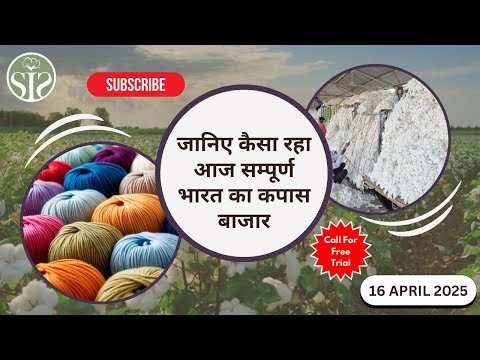 जानिए कैसा रहा आज सम्पूर्ण भारत का रुई बाज़ार 🤔|| today's cotton market update #smartinfo #cci