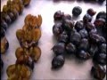 Tecnifruits  dnoyauteur automatique abricots  prunes  pches