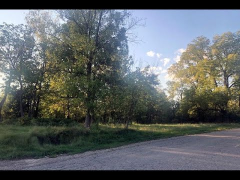 1099 Main Street, Fenton, MI home video tour
