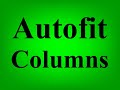 How to easily autofit columns in Excel sheet !!! এক্সেল সিটে খুব সহজেই অটোফিট কলাম কিভাবে করবেন