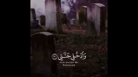 ماتيسر من سورة الفجر حالات واتس آب دينيه