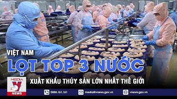 Việt Nam lọt top 3 nước xuất khẩu thủy sản lớn nhất thế giới - VNEWS