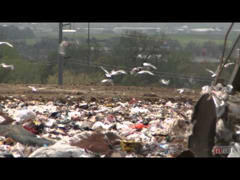 Tossed Out: Food in the Landfill
