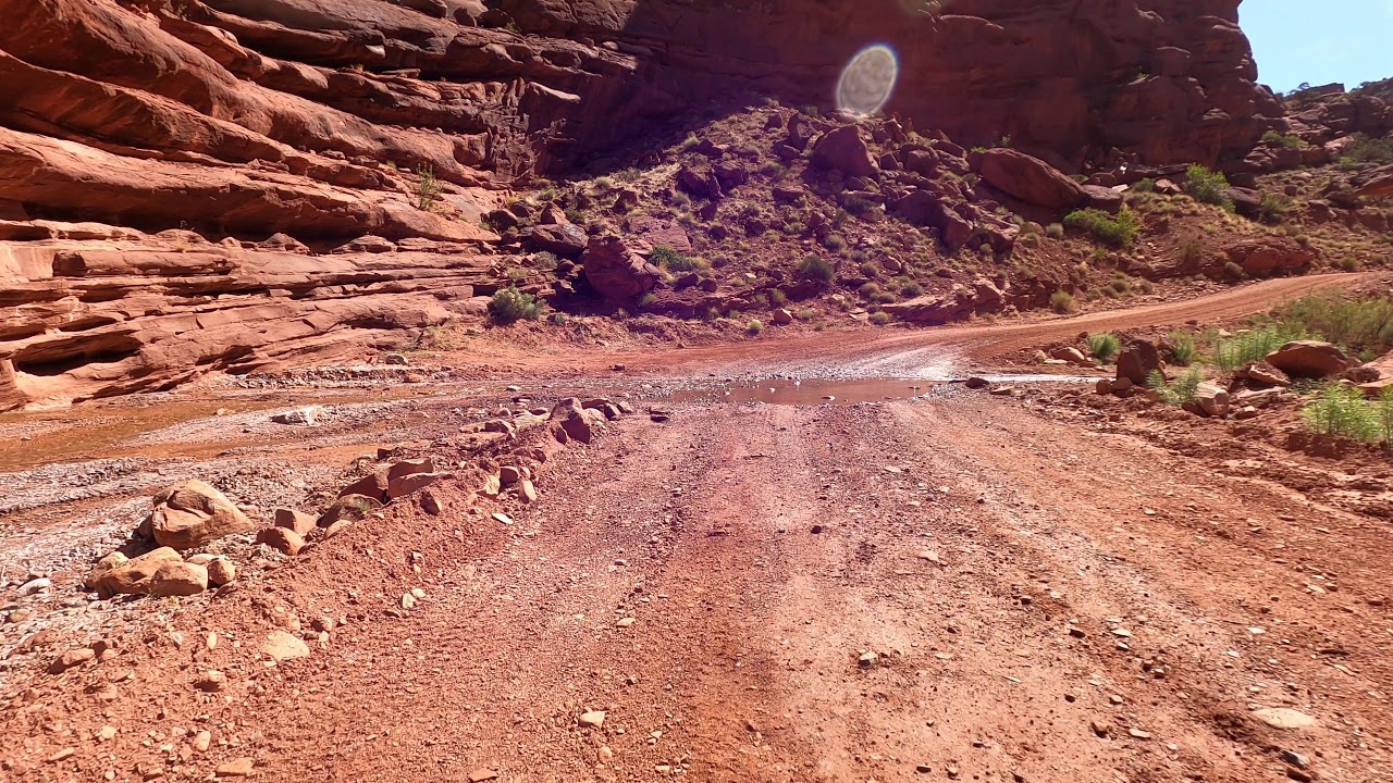 Rose Garden Hill Safari Route (Onion Creek Road) Part 2 YouTube