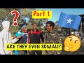 Answer These Questions if You're Somali part 1. Somali Challenge